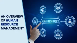 Human Resource Management: 7 Essential Overviwew Of Human Resource Management
